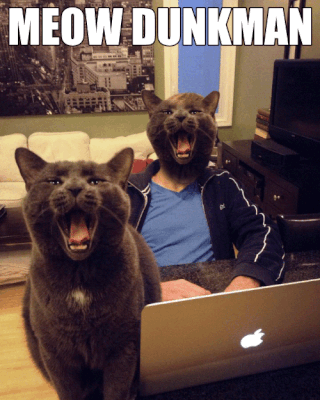 meow dunkman
